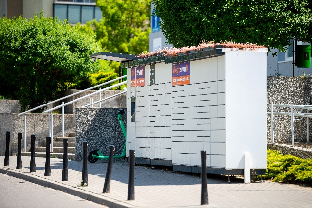 Obraz zawierający na wolnym powietrzu, drzewo, roślina, budynek
Opis wygenerowany automatycznie