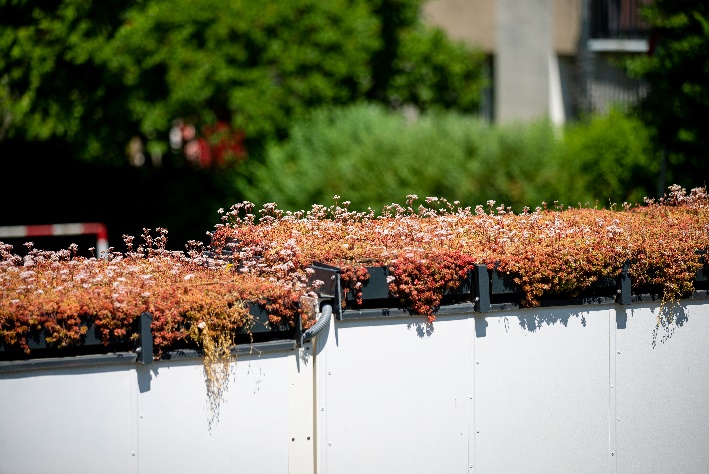 Obraz zawierający na wolnym powietrzu, budynek, roślina, jesień
Opis wygenerowany automatycznie