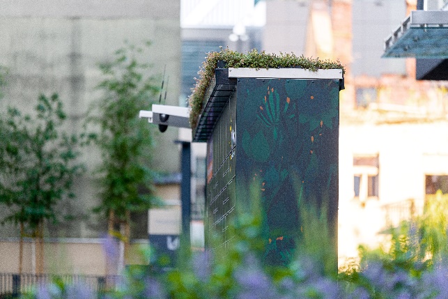 Obraz zawierający budynek, na wolnym powietrzu, okno, roślina
Opis wygenerowany automatycznie