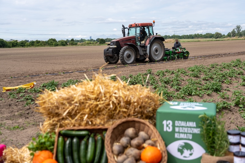 Miejska Farma we Wrocławiu