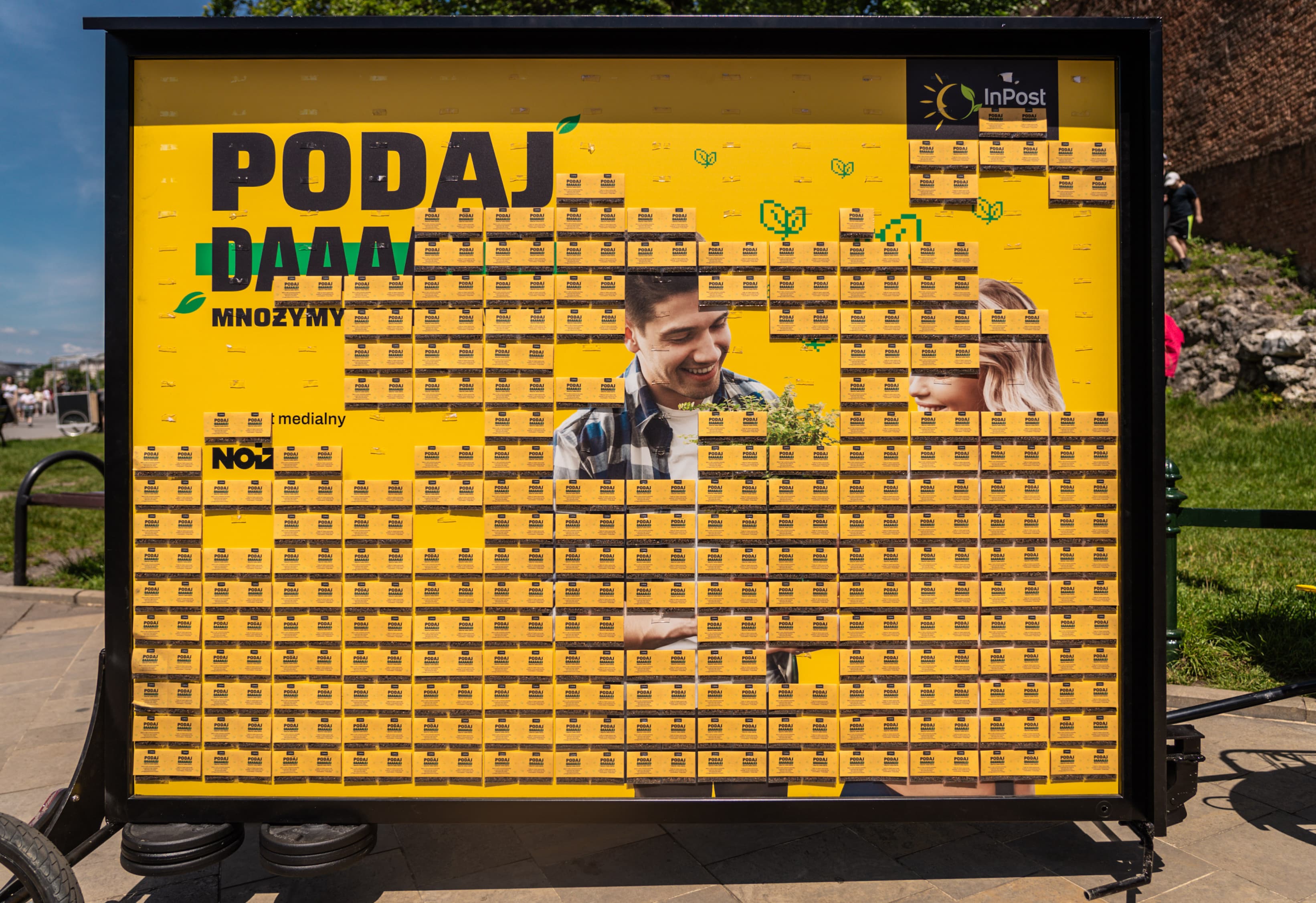 Żółta tablica z nasionkami łąki kwietnej z częściowo odkrytą grafiką.