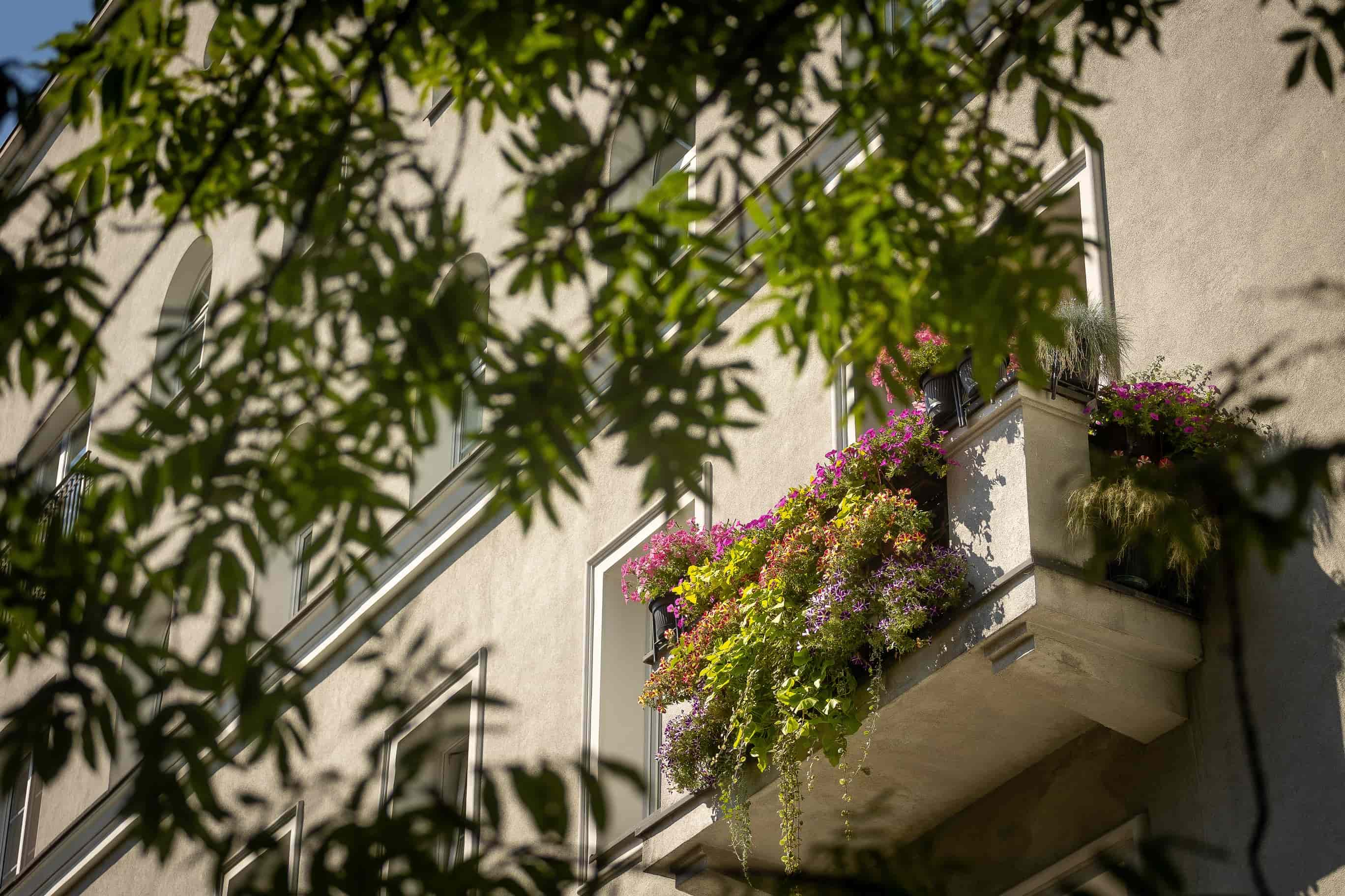 balkon z kwiatami balkon z kwiatami