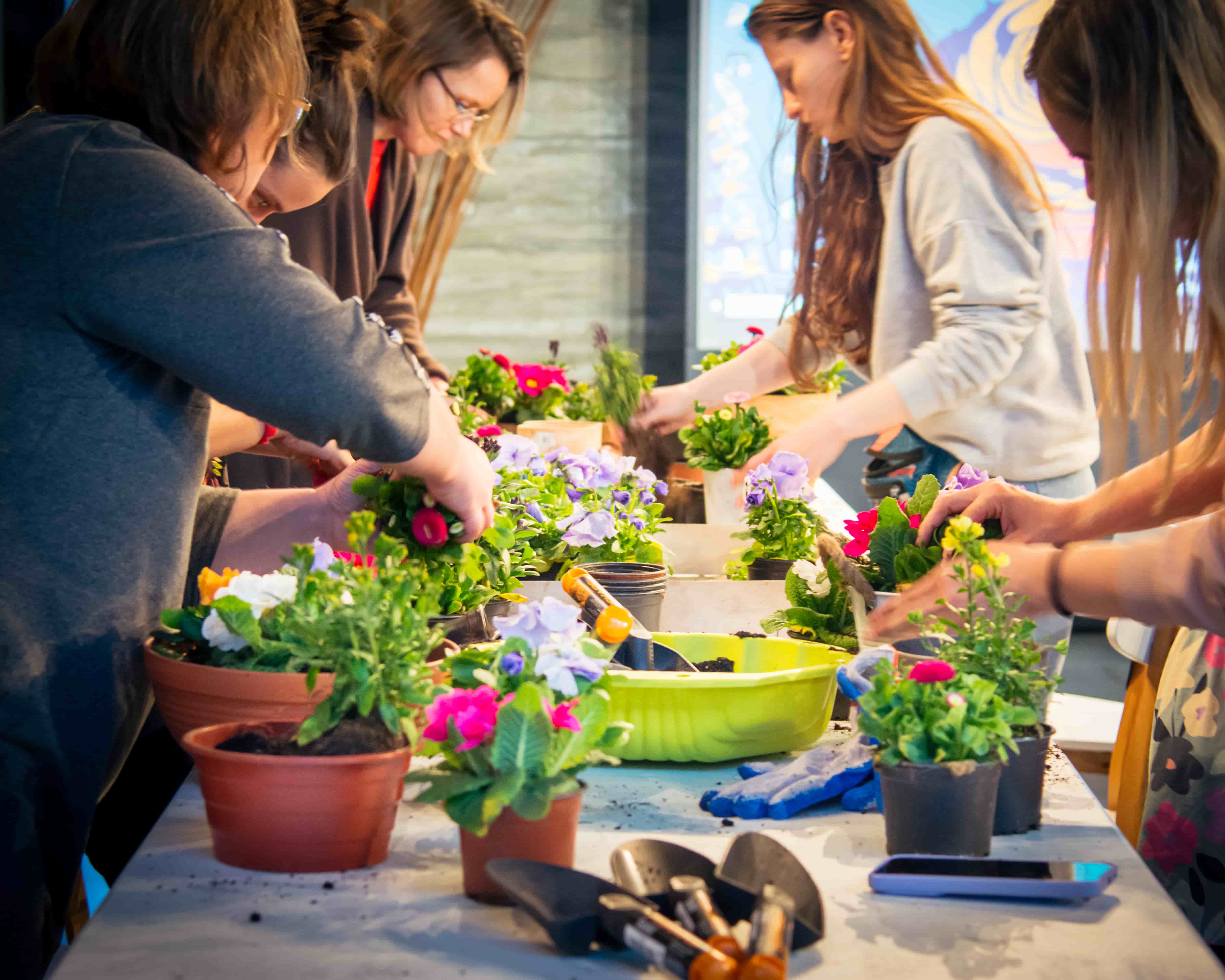 ogrodowy czwartek w pawilonie edukacyjnym ogrodowy czwartek w pawilonie edukacyjnym